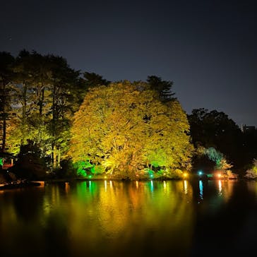 NAKED 紅葉の新宿御苑2023に投稿された画像（2023/11/25）