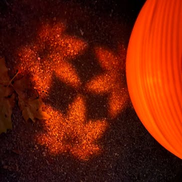 NAKED 紅葉の新宿御苑2023に投稿された画像（2023/11/25）