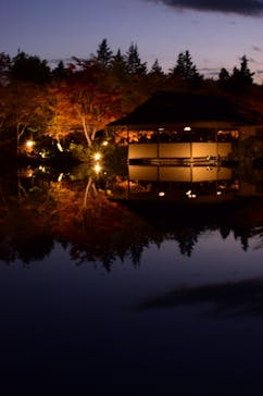 国営昭和記念公園 秋の夜散歩に投稿された画像（2023/11/25）