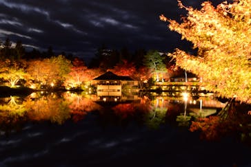 国営昭和記念公園 秋の夜散歩に投稿された画像（2023/11/25）