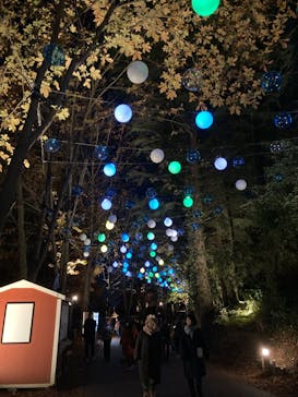 ムーミンバレーパークに投稿された画像（2023/11/25）