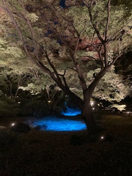 六義園に投稿された画像（2023/11/25）