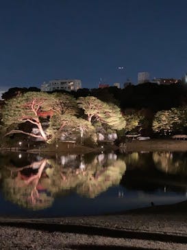 六義園に投稿された画像（2023/11/25）