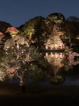 六義園に投稿された画像（2023/11/25）