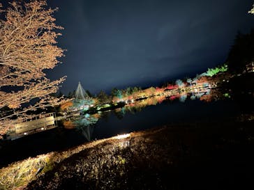 国営昭和記念公園 秋の夜散歩に投稿された画像（2023/11/25）