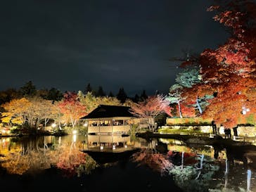 国営昭和記念公園 秋の夜散歩に投稿された画像（2023/11/25）