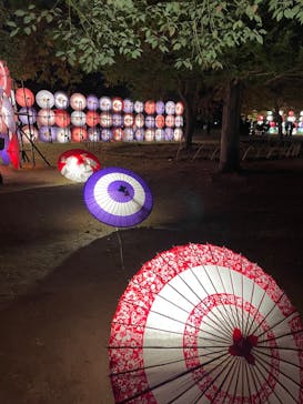 国営昭和記念公園 秋の夜散歩に投稿された画像（2023/11/25）