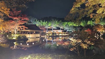 国営昭和記念公園 秋の夜散歩に投稿された画像（2023/11/25）