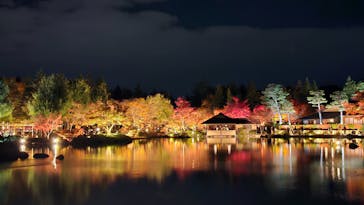 国営昭和記念公園 秋の夜散歩に投稿された画像（2023/11/25）