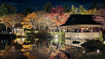 国営昭和記念公園 秋の夜散歩に投稿された画像（2023/11/25）