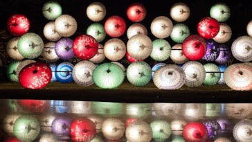 国営昭和記念公園 秋の夜散歩に投稿された画像（2023/11/25）