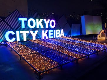 東京メガイルミに投稿された画像（2023/11/25）