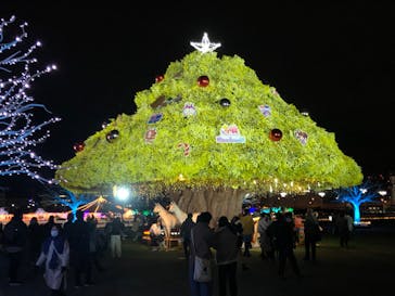 東京メガイルミに投稿された画像（2023/11/25）