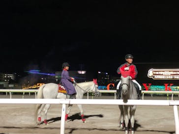 東京メガイルミに投稿された画像（2023/11/25）