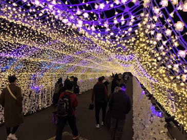 東京メガイルミに投稿された画像（2023/11/25）