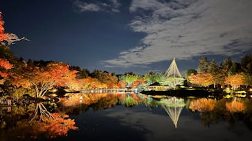 国営昭和記念公園 秋の夜散歩に投稿された画像（2023/11/25）