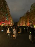 NAKED 紅葉の新宿御苑2023に投稿された画像（2023/11/26）