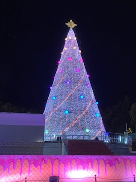 レオマリゾートに投稿された画像（2023/11/25）