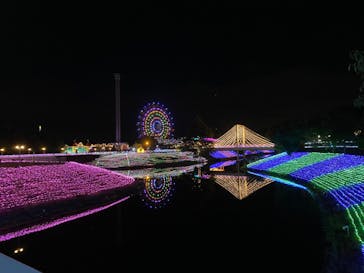 レオマリゾートに投稿された画像（2023/11/25）