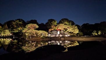 六義園に投稿された画像（2023/11/25）