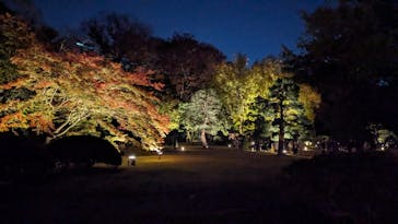 六義園に投稿された画像（2023/11/25）