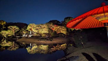 六義園に投稿された画像（2023/11/25）