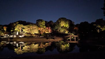 六義園に投稿された画像（2023/11/25）
