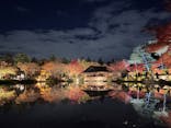 国営昭和記念公園 秋の夜散歩に投稿された画像（2023/11/26）