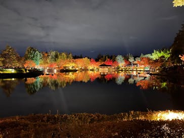 国営昭和記念公園 秋の夜散歩に投稿された画像（2023/11/25）