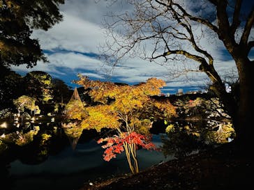 六義園に投稿された画像（2023/11/25）