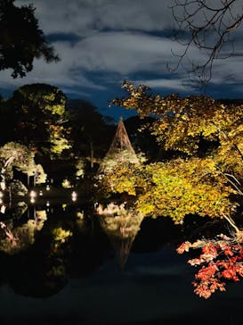 六義園に投稿された画像（2023/11/25）