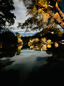 六義園に投稿された画像（2023/11/25）
