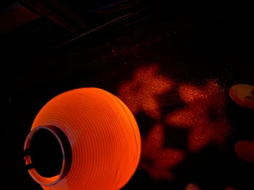 NAKED 紅葉の新宿御苑2023に投稿された画像（2023/11/25）