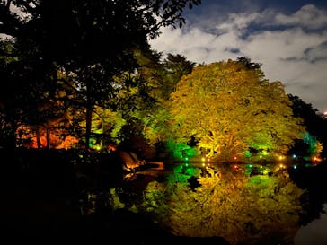 NAKED 紅葉の新宿御苑2023に投稿された画像（2023/11/25）