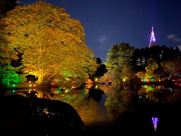 NAKED 紅葉の新宿御苑2023に投稿された画像（2023/11/25）