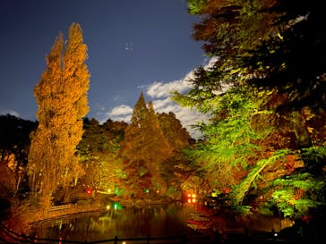 NAKED 紅葉の新宿御苑2023に投稿された画像（2023/11/25）