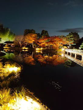 国営昭和記念公園 秋の夜散歩に投稿された画像（2023/11/25）