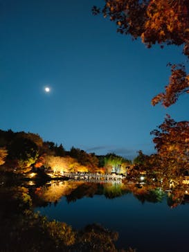 国営昭和記念公園 秋の夜散歩に投稿された画像（2023/11/25）