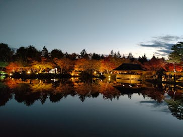 国営昭和記念公園 秋の夜散歩に投稿された画像（2023/11/25）