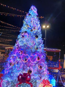 さがみ湖MORI MORIに投稿された画像（2023/11/25）