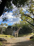 天王寺動物園に投稿された画像（2023/11/26）