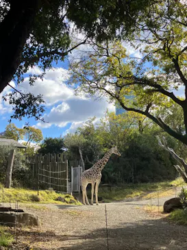 天王寺動物園に投稿された画像（2023/11/25）