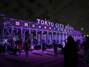 東京メガイルミに投稿された画像（2023/11/25）