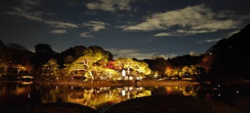 六義園に投稿された画像（2023/11/25）