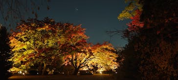 六義園に投稿された画像（2023/11/25）