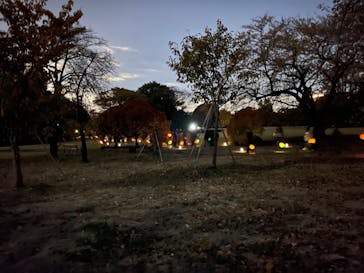 NAKED 紅葉の新宿御苑2023に投稿された画像（2023/11/25）