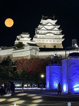 姫路城（イベント）に投稿された画像（2023/11/25）