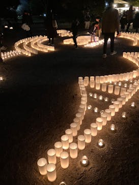 江戸東京たてもの園に投稿された画像（2023/11/25）