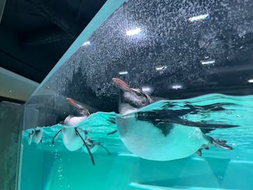 AOAO SAPPOROに投稿された画像（2023/11/25）