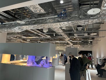 AOAO SAPPOROに投稿された画像（2023/11/25）